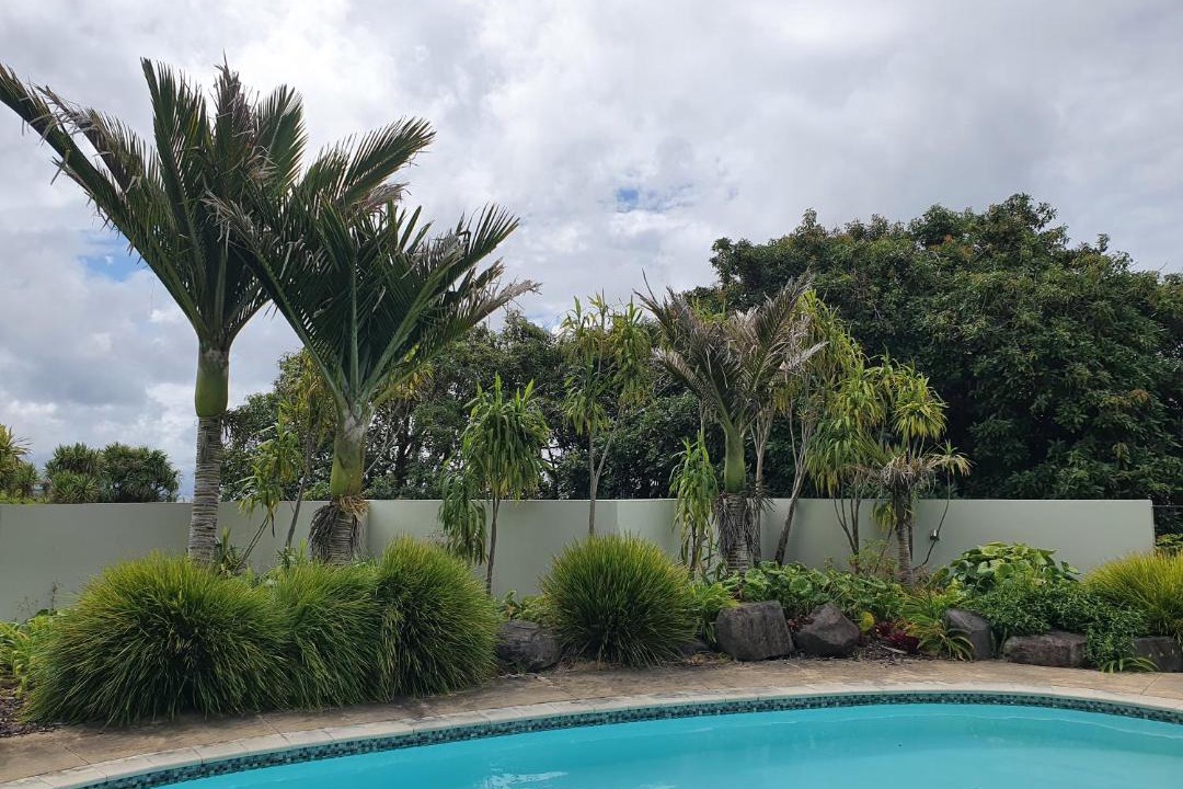 Photo of Others in Omokoroa