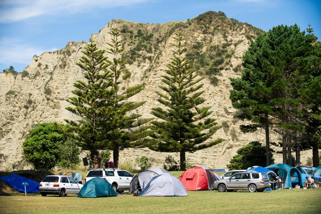 Photo of Others in Tolaga Bay