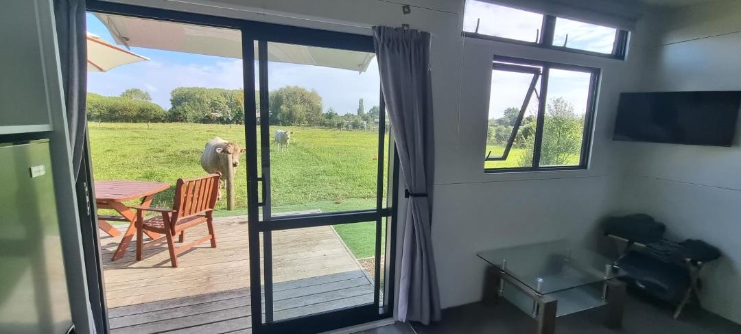 Photo of Others in Waikato District