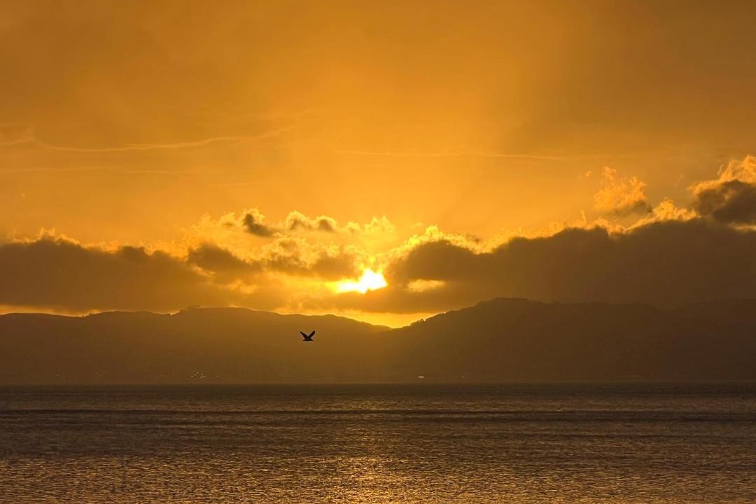 Photo of Others in Petone