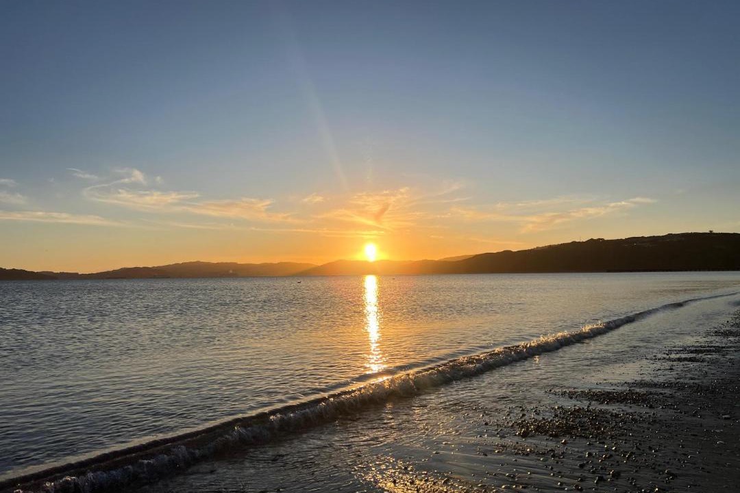 Photo of Others in Petone