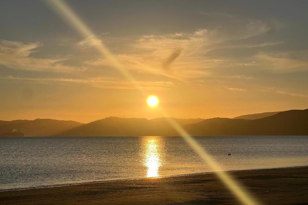 Photo of Others in Petone