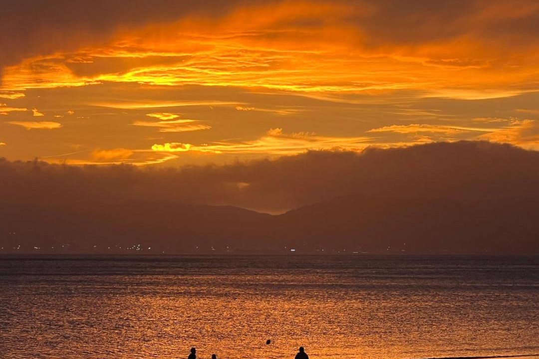 Photo of Others in Petone