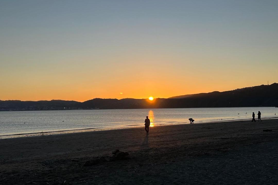 Photo of Others in Petone