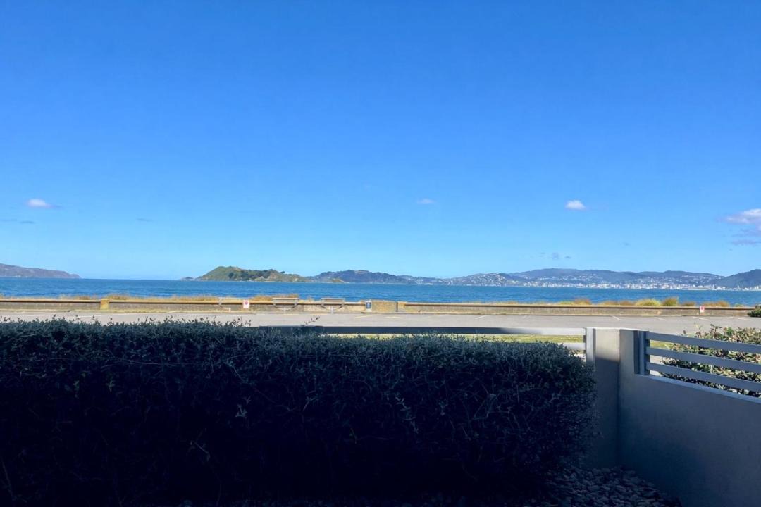 Photo of Others in Petone