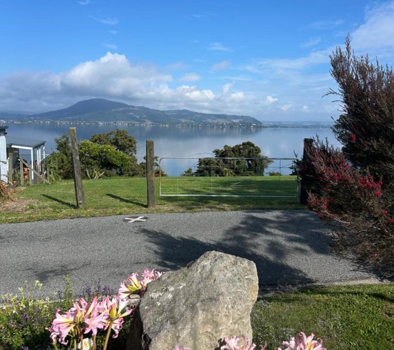 Photo of Others in Owhata