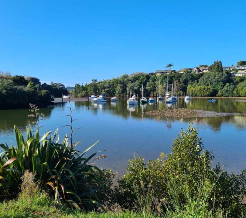 Photo of Others in Kerikeri