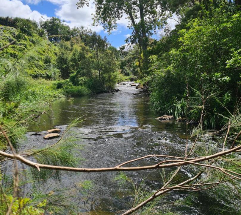Photo of Others in Kerikeri