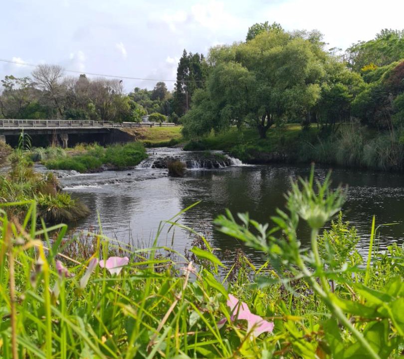 Photo of Others in Kerikeri