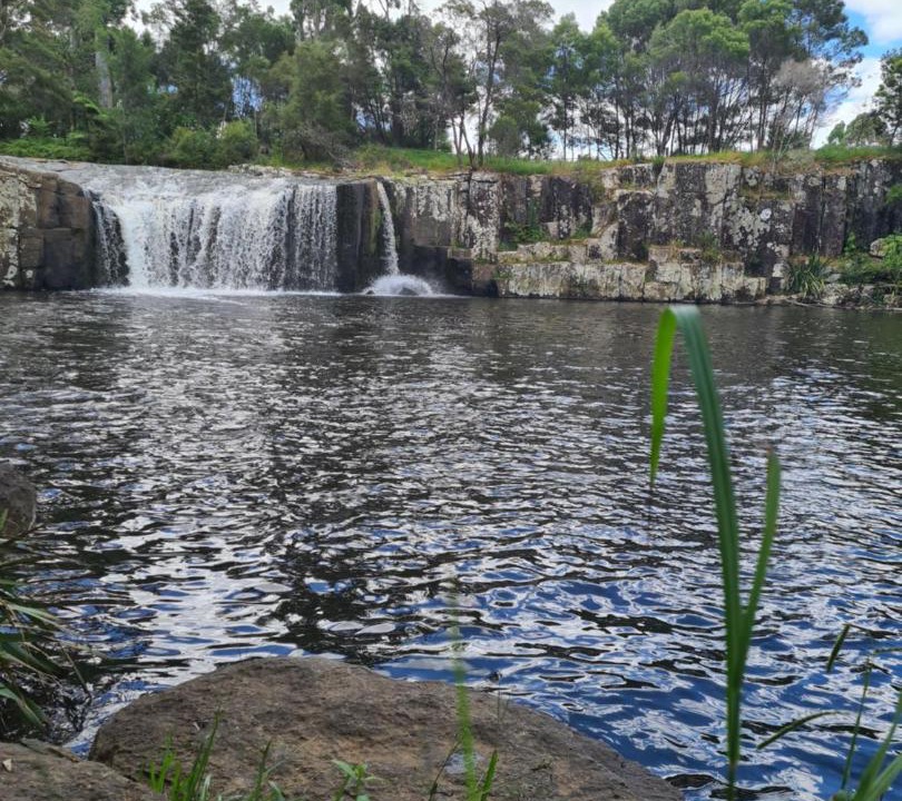 Photo of Others in Kerikeri