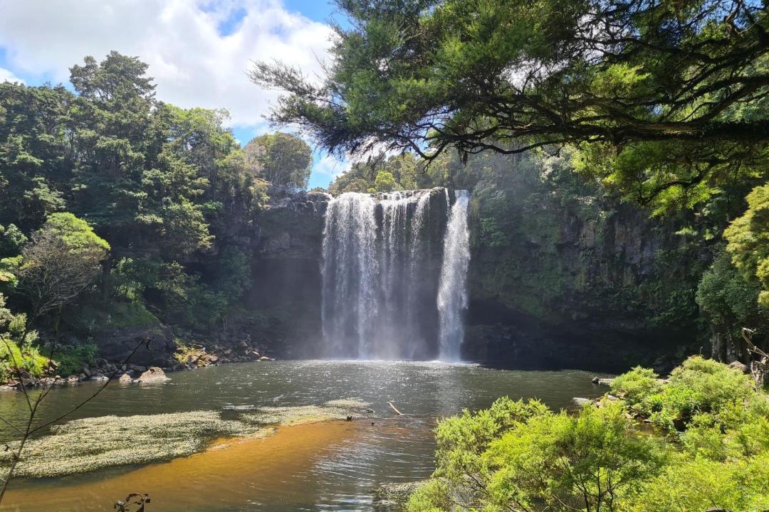 Photo of Others in Kerikeri