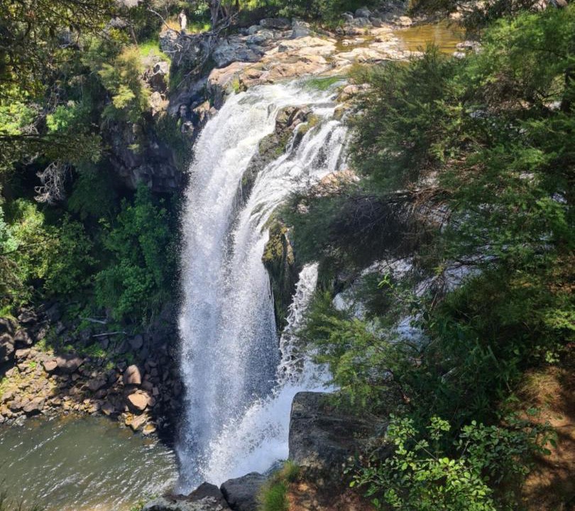 Photo of Others in Kerikeri