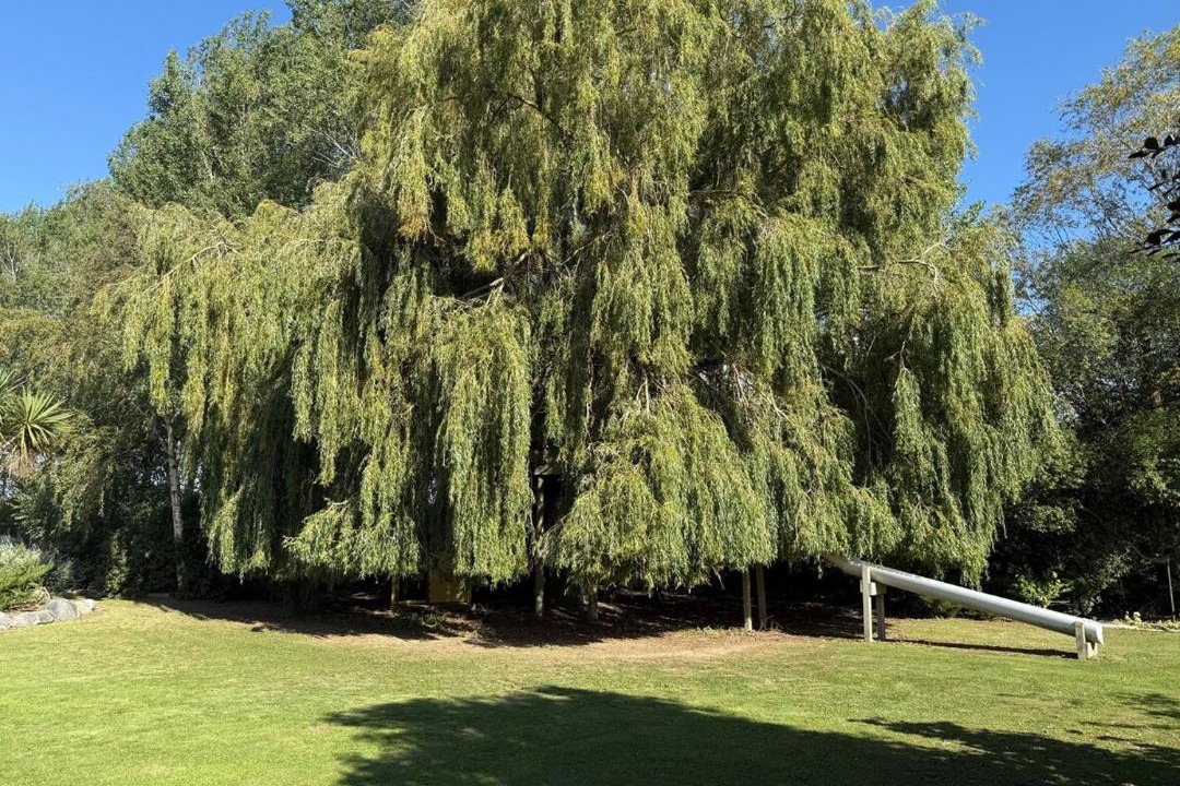 Photo of Others in Waitaki District