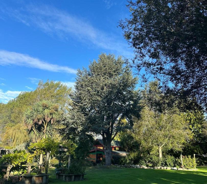Photo of Others in Waitaki District