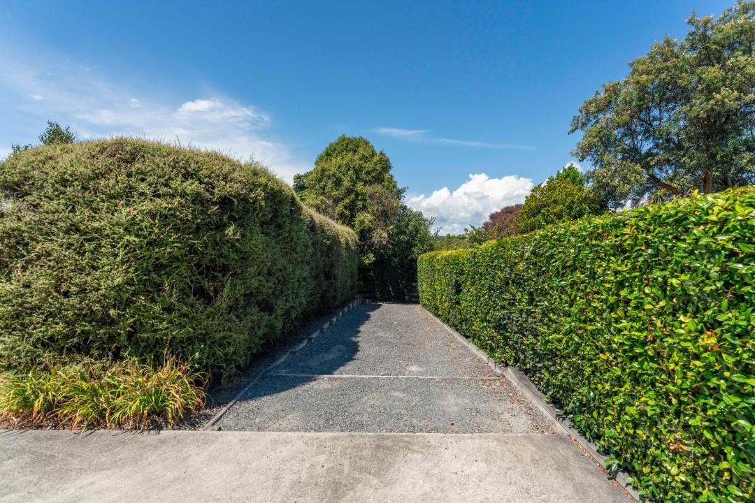 Photo of Others in Taupo