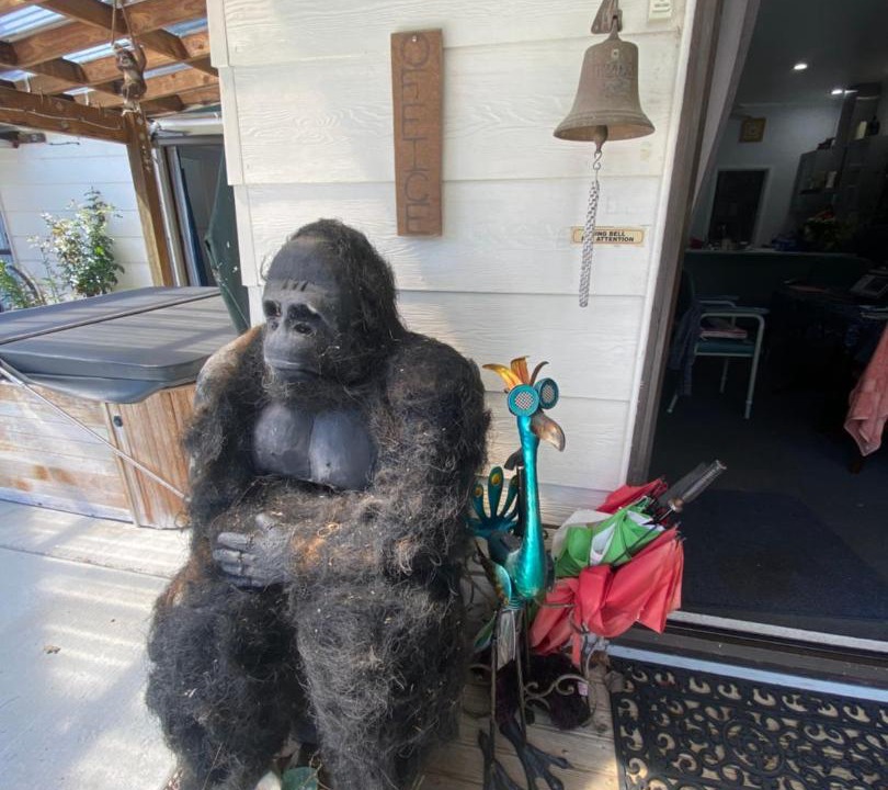 Photo of Others in Waihi