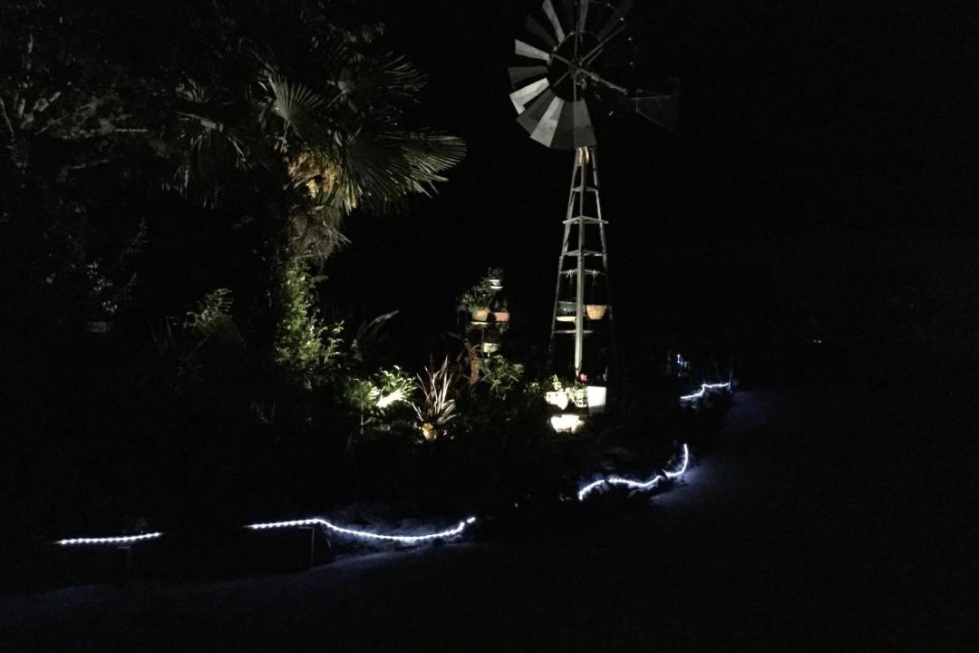 Photo of Others in Waihi