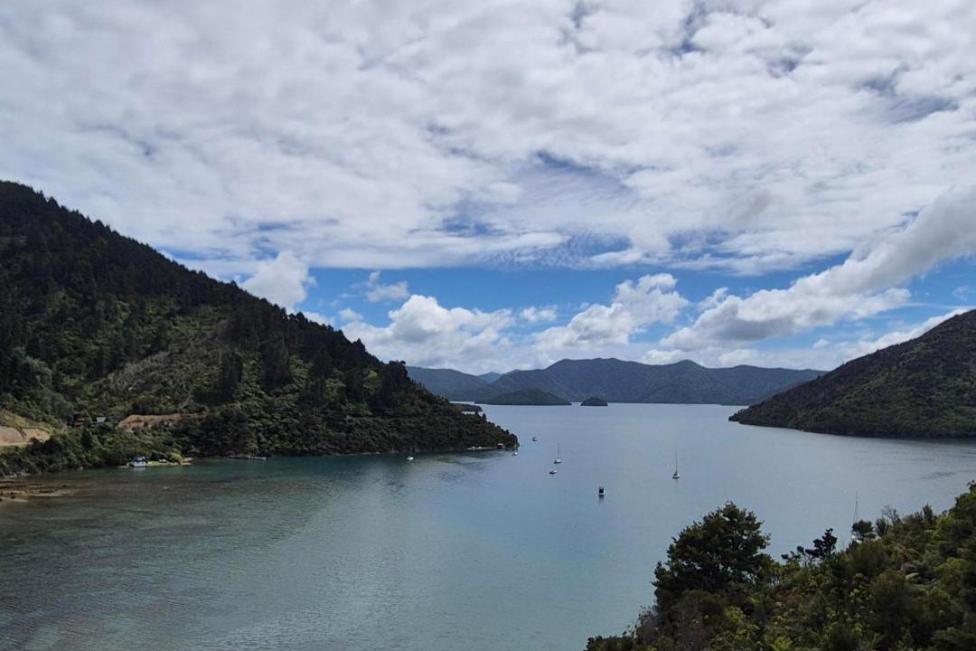 Photo of Others in Whatamango Bay