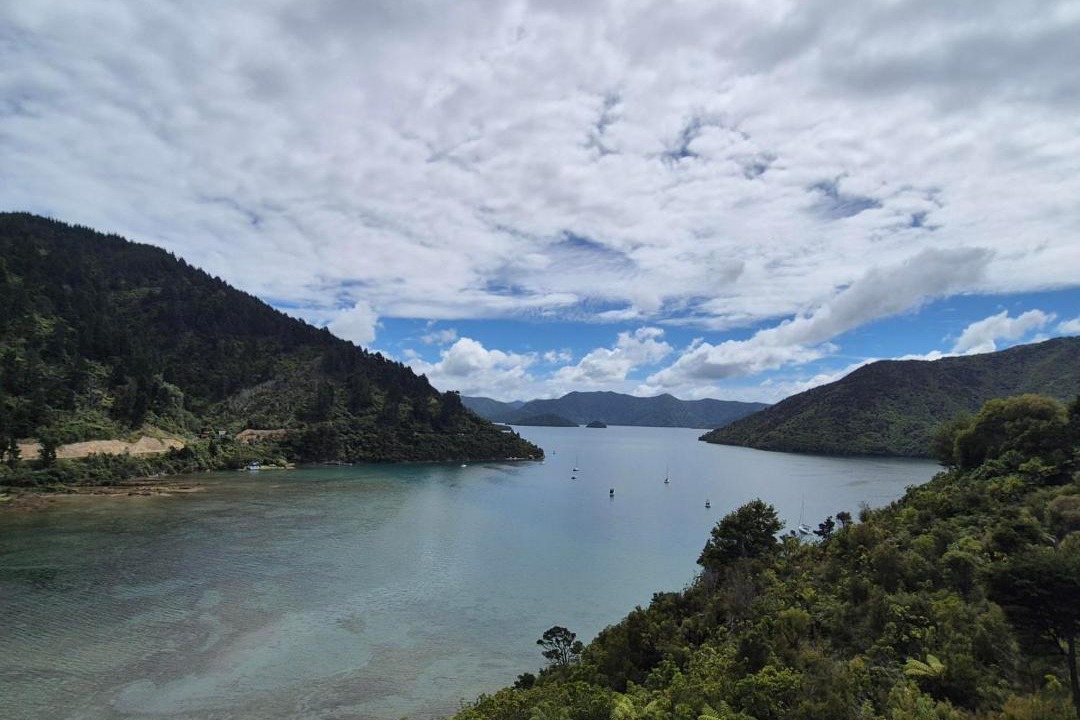 Photo of Others in Whatamango Bay