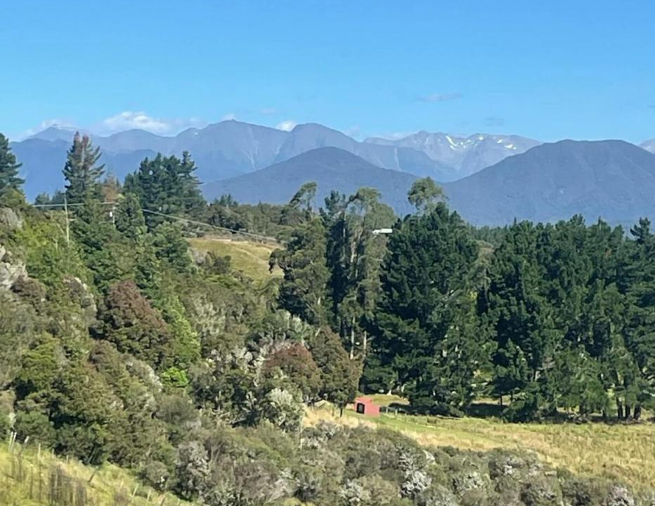 Photo of Others in Hokitika