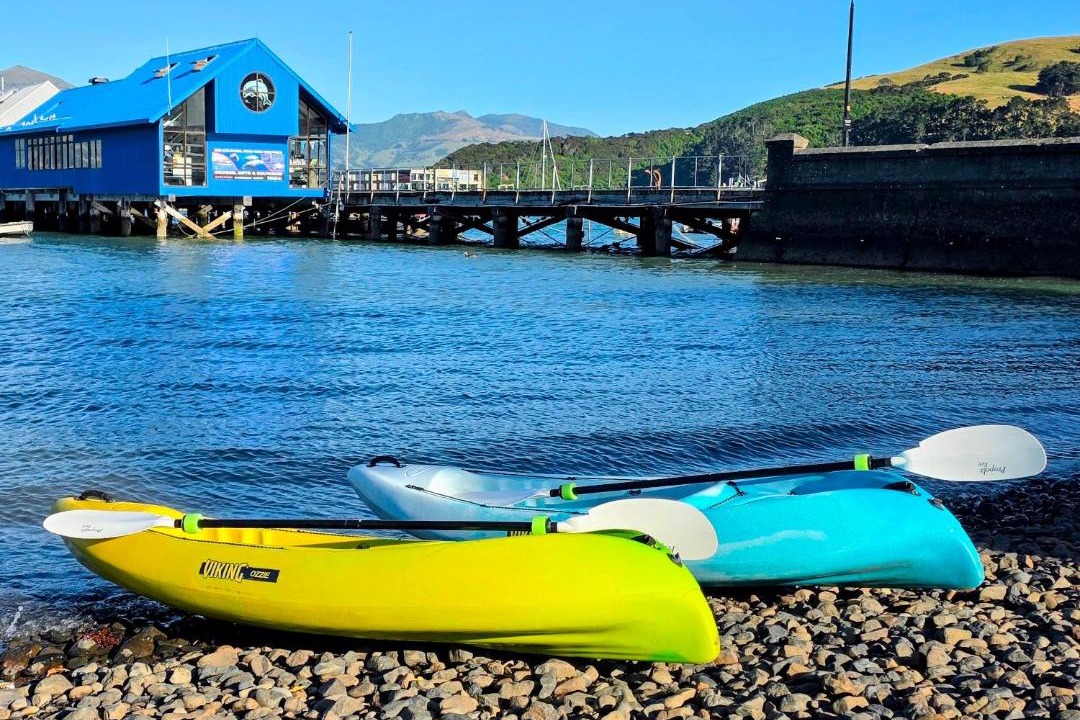 Photo of Others in Akaroa