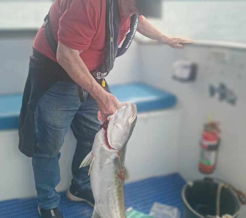 Photo of Others in Whatamango Bay