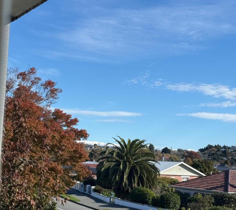 Photo of Others in Timaru