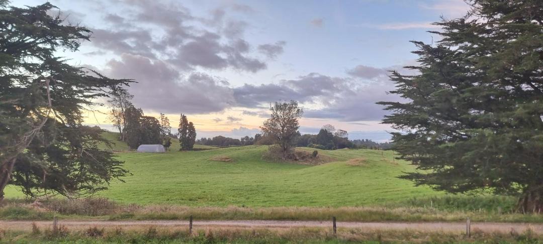 Photo of Others in Rotorua