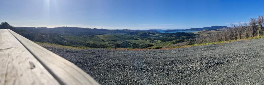 Photo of Others in Mangonui