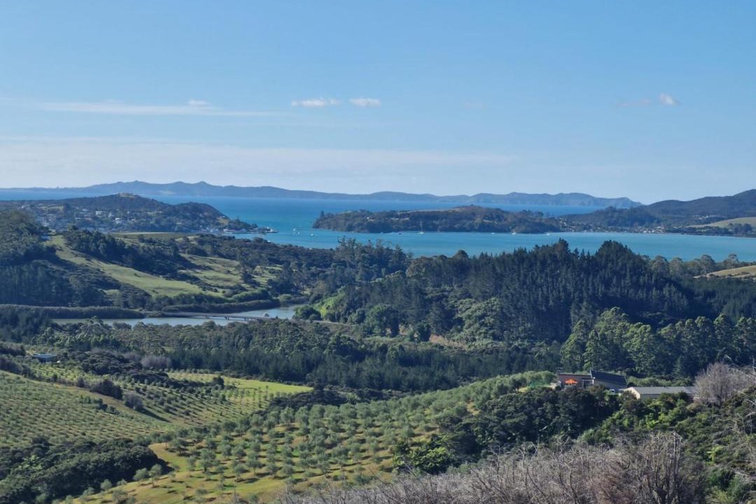 Photo of Others in Mangonui
