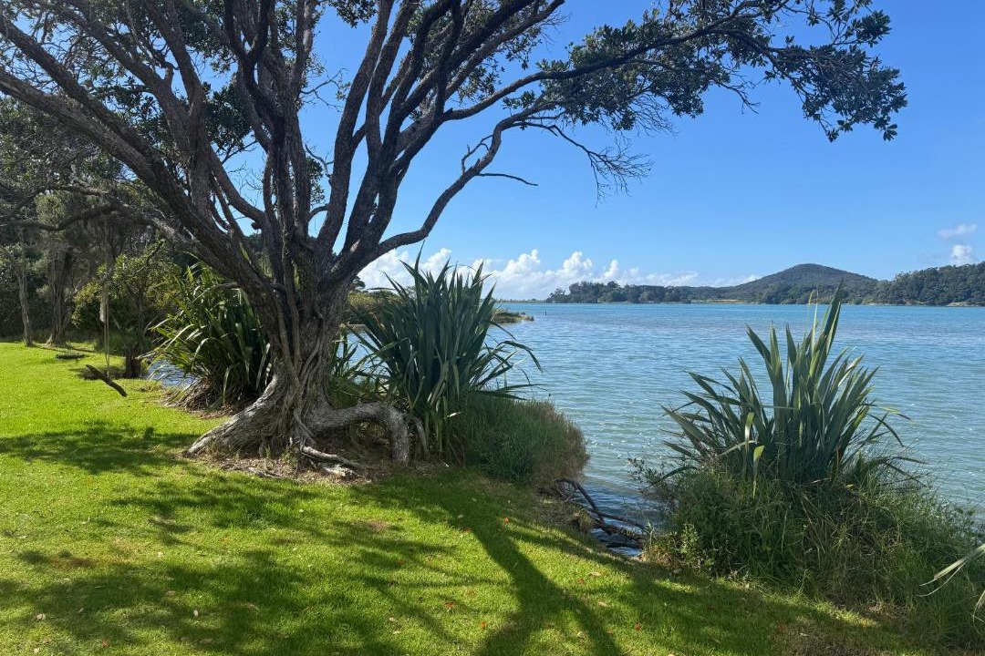 Photo of Others in Tutukaka