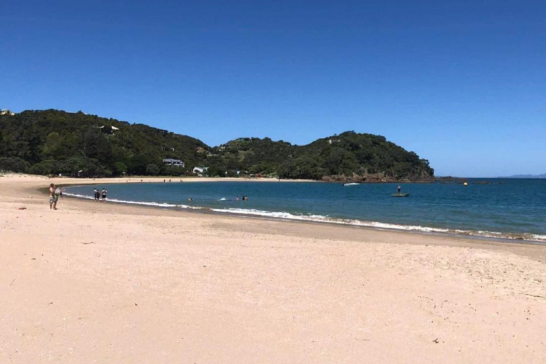 Photo of Others in Tutukaka