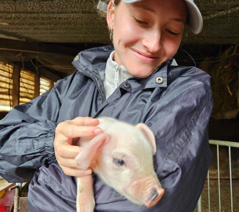 Photo of Others in Pukehangi