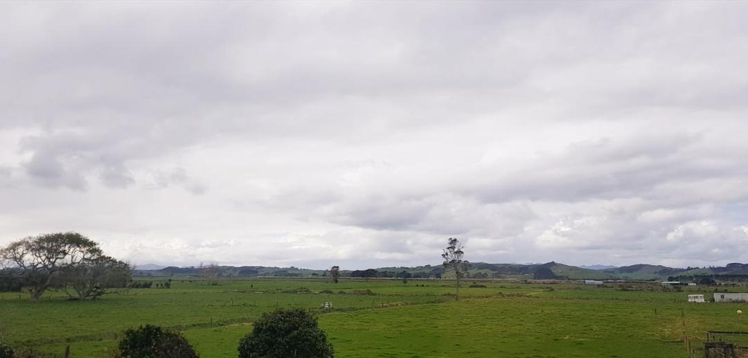 Photo of Others in Kaipara District