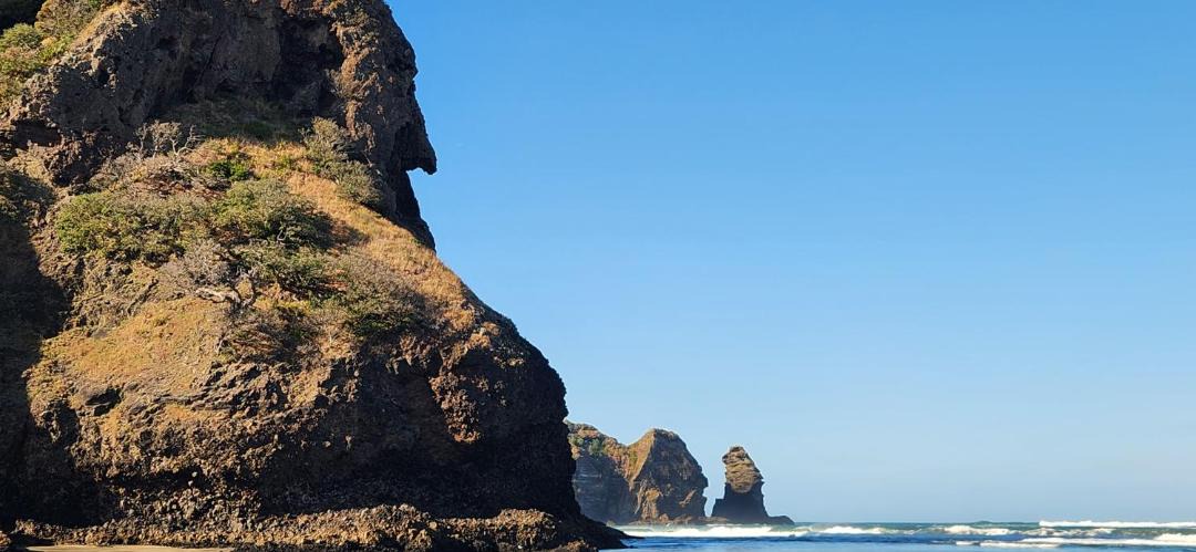 Photo of Others in Piha