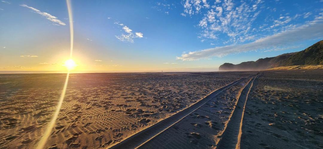 Photo of Others in Piha