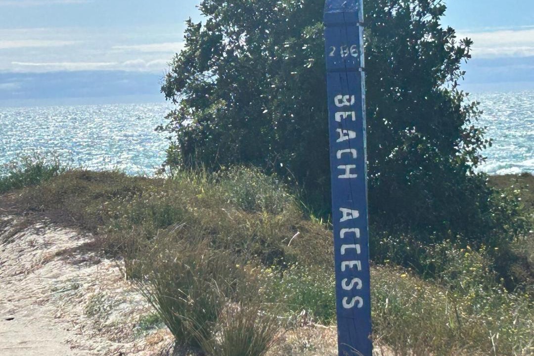 Photo of Others in Mount Maunganui