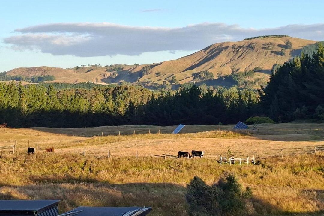 Photo of Others in Kinloch