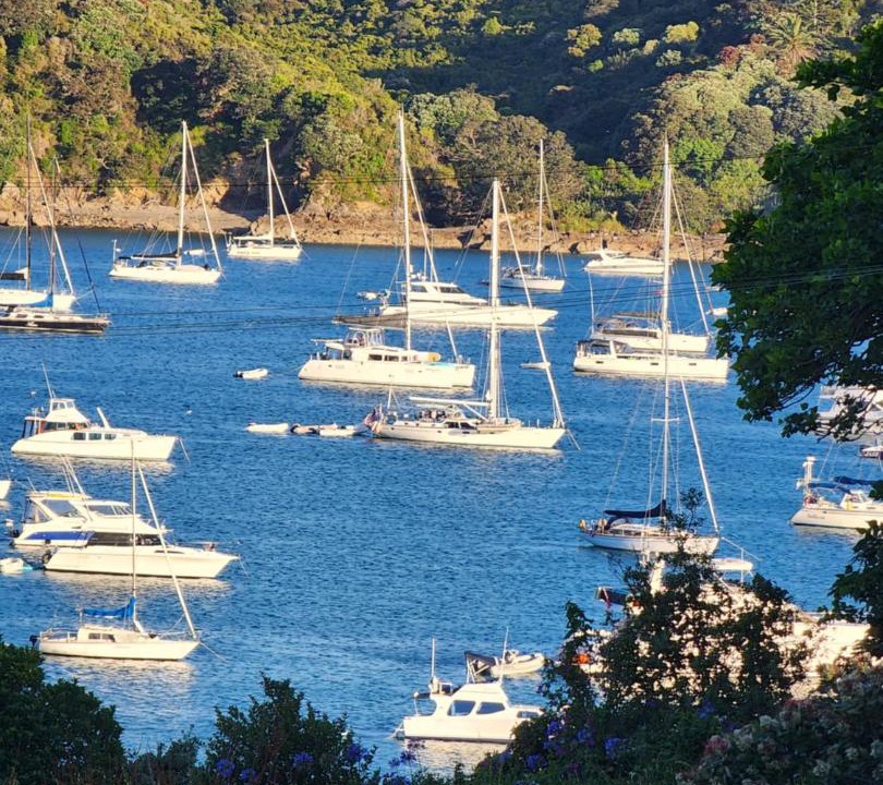 Photo of Others in Oneroa