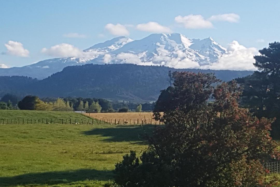 Photo of Others in Ohakune
