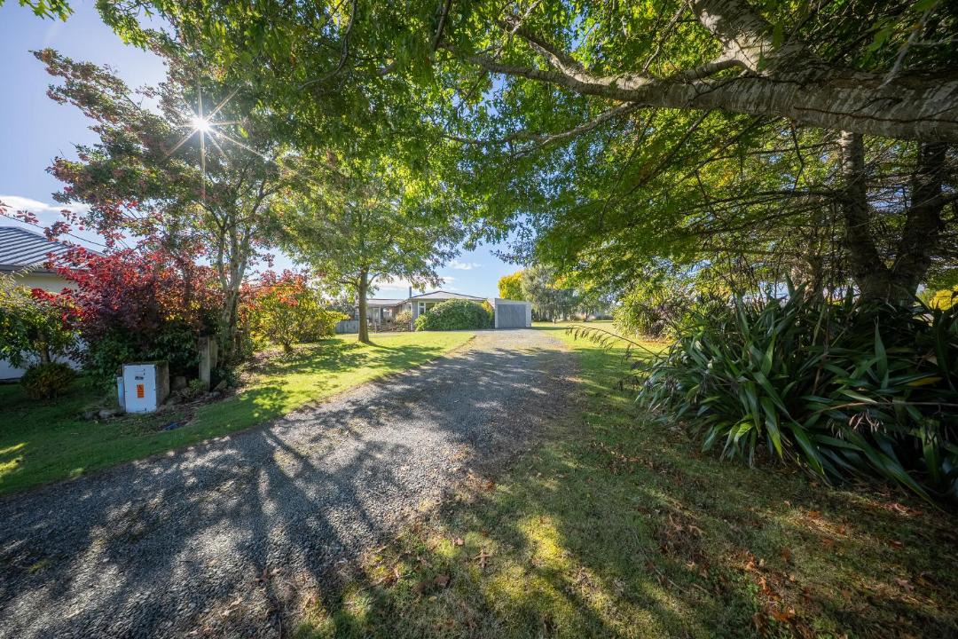 Photo of Others in Te Anau