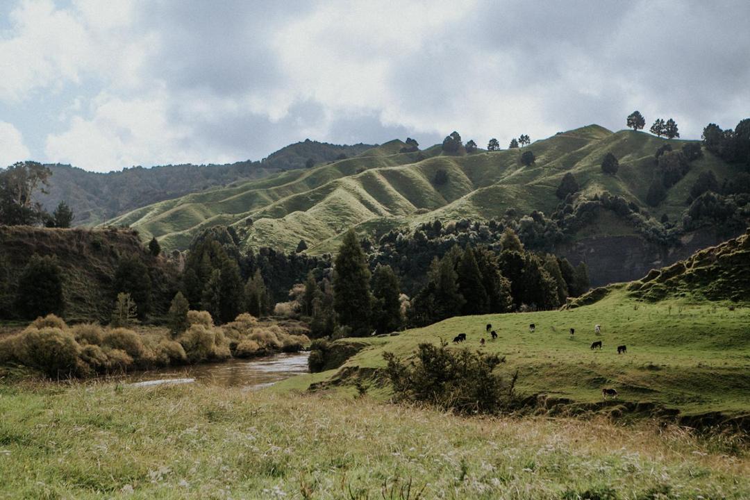 Photo of Others in Taumarunui