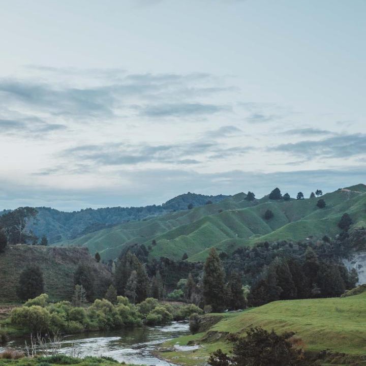 Photo of Others in Taumarunui