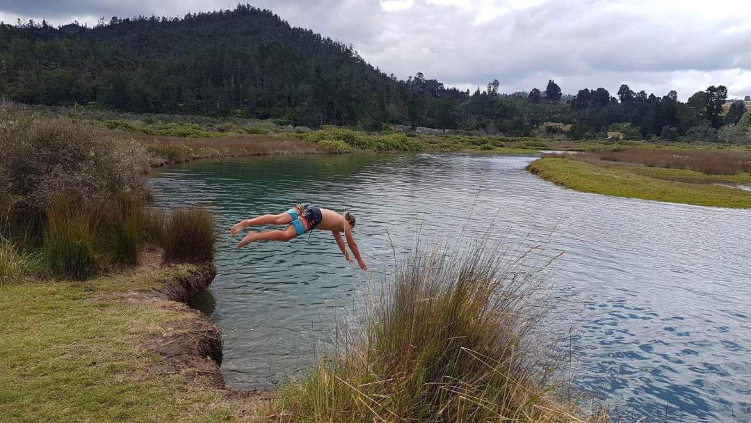 Photo of Others in Tairua