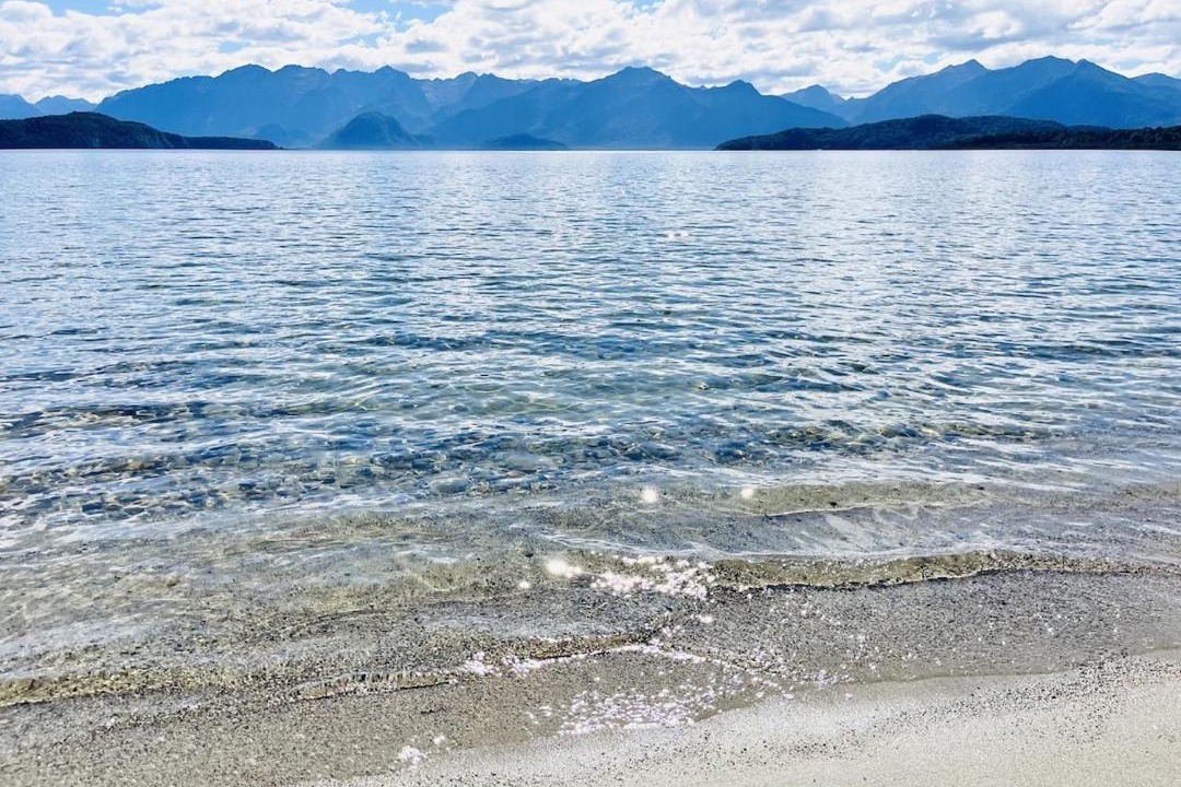 Photo of Others in Manapouri