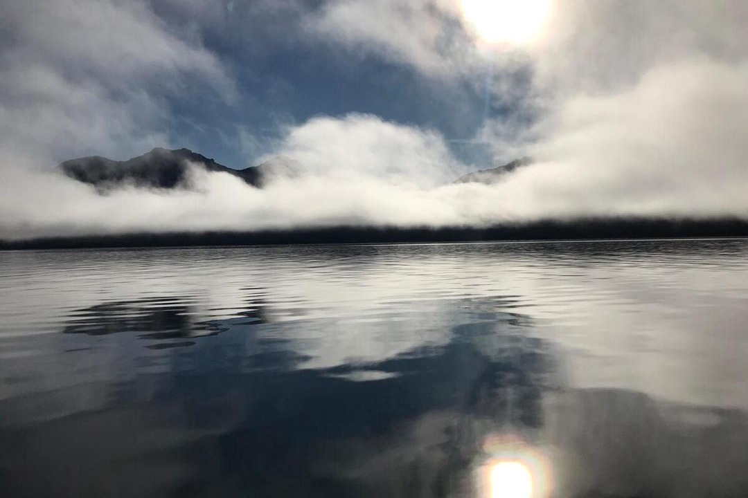 Photo of Others in Manapouri