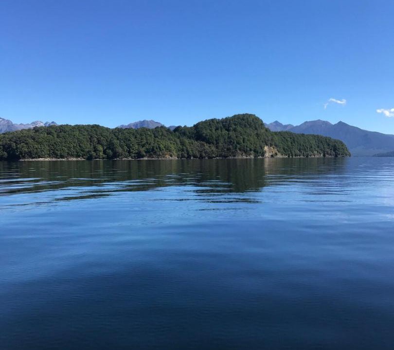 Photo of Others in Manapouri