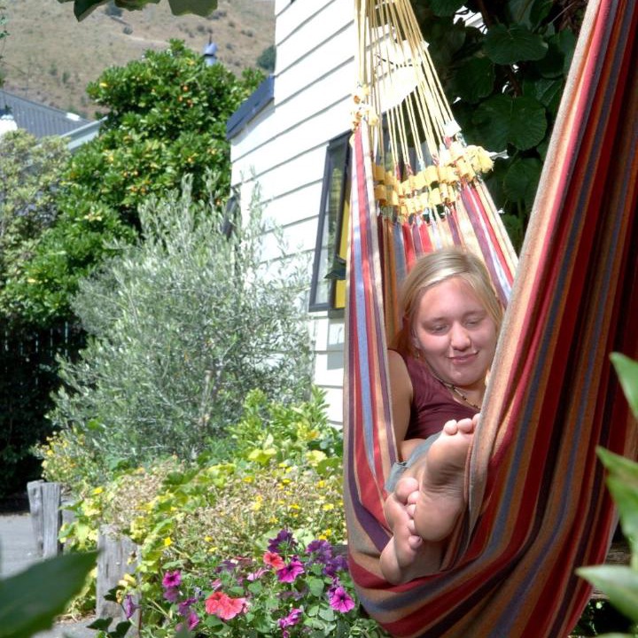 Photo of Others in Nelson