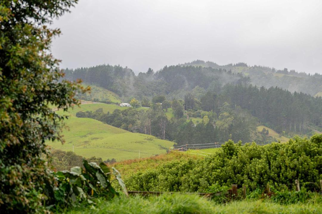 Photo of Others in Whangarei
