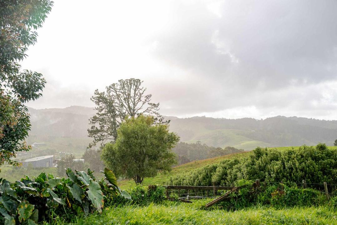 Photo of Others in Whangarei